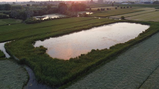 Lowlands 2026 lineup: deze namen maken de meeste kans