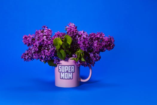 Moederdag 2026 in Noord-Holland: datum, cadeaus en uitjes