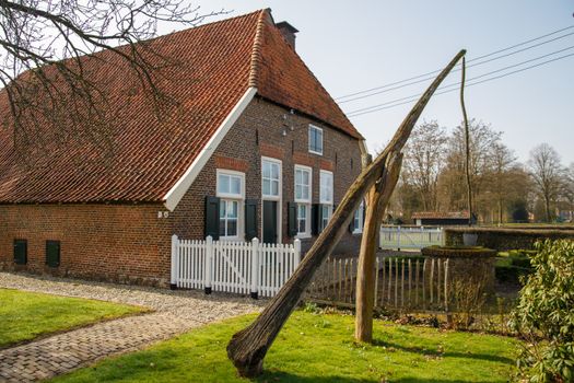 Boekhoorn blijft fascineren: investeringen, media en invloed