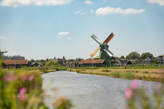 Max Verstappen tijdens een Formule 1-race met focus op de F1-stand en Nederlandse fans uit Noord-Holland